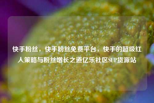 快手粉丝，快手粉丝免费平台，快手的超级红人策略与粉丝增长之道亿乐社区SUP货源站  第1张