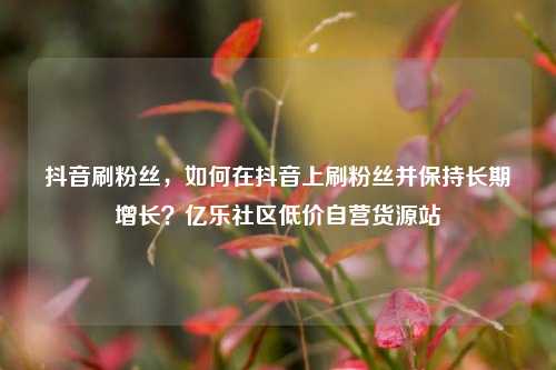 抖音刷粉丝，如何在抖音上刷粉丝并保持长期增长？亿乐社区低价自营货源站  第1张